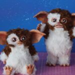 Curso Gizmo