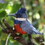 Taller aves de papel - Imagen 4