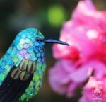 Taller aves de papel - Imagen 2